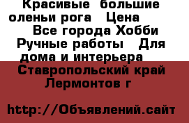 Красивые  большие оленьи рога › Цена ­ 3 000 - Все города Хобби. Ручные работы » Для дома и интерьера   . Ставропольский край,Лермонтов г.